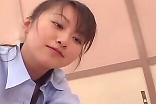 Asian Short hair Screaming School